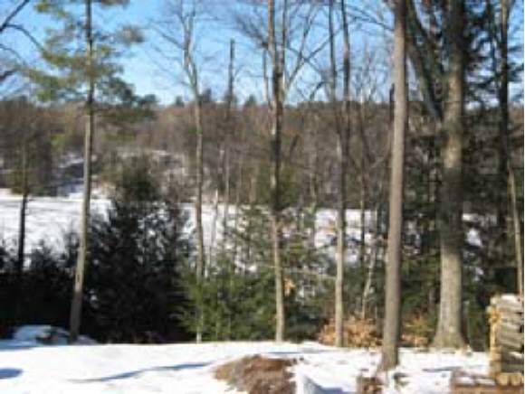 tbd Lake Dunmore Road