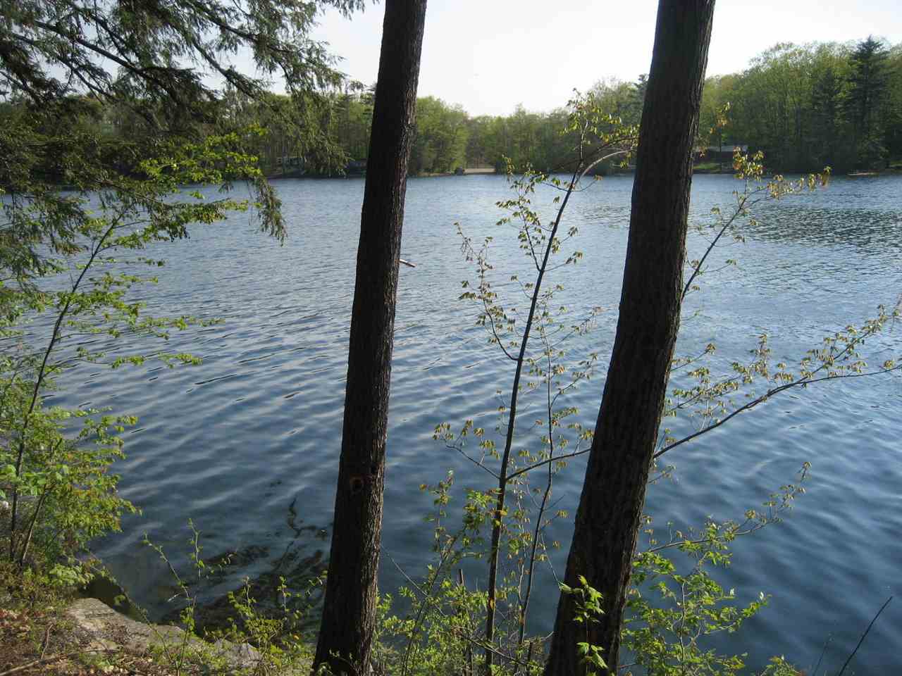 TBD Lake Dunmore Road