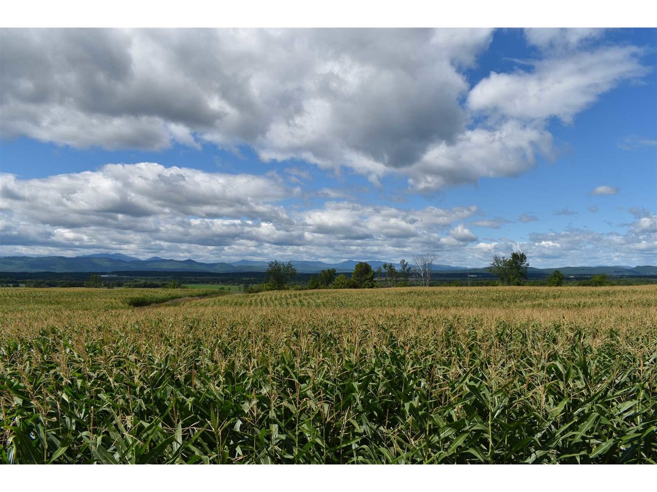 TBD Lot 2 VT Route 22A