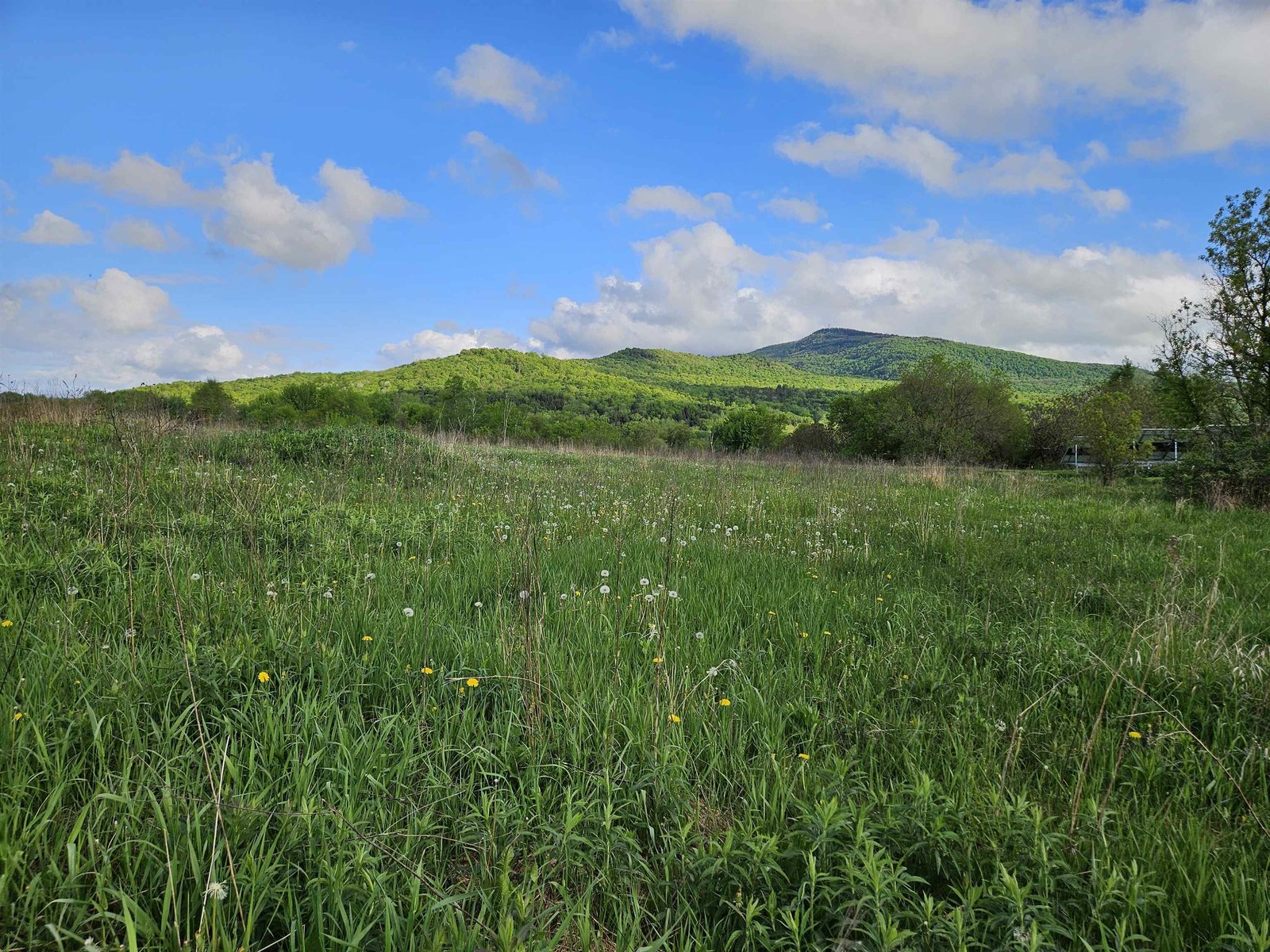TBD Lot #3 Miller's Meadow Road