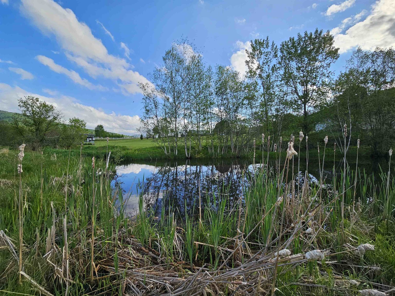TBD Lot #3 Miller's Meadow Road