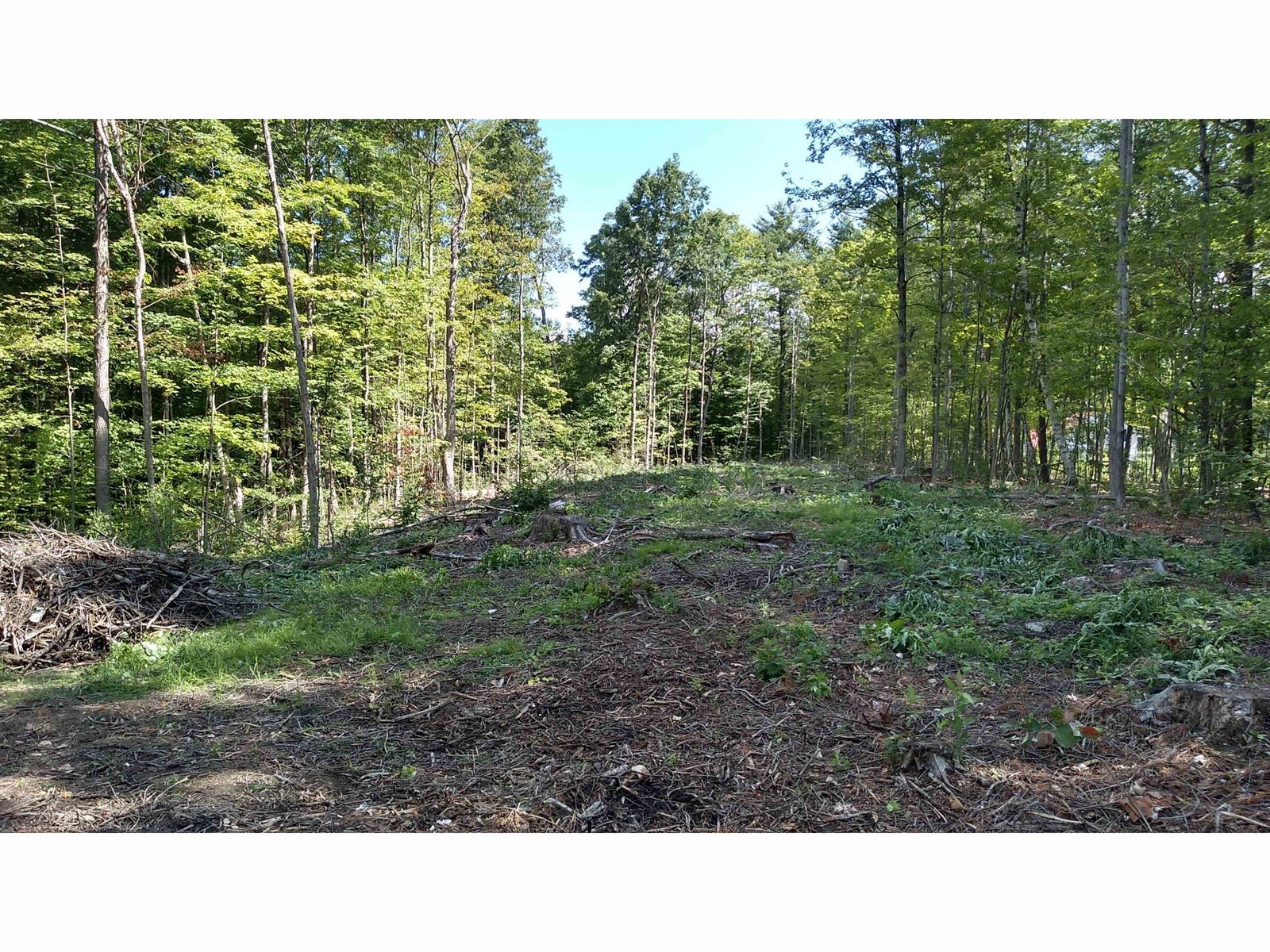 TBD Lower Plains Road