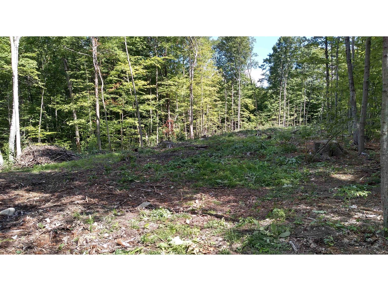 TBD Lower Plains Road
