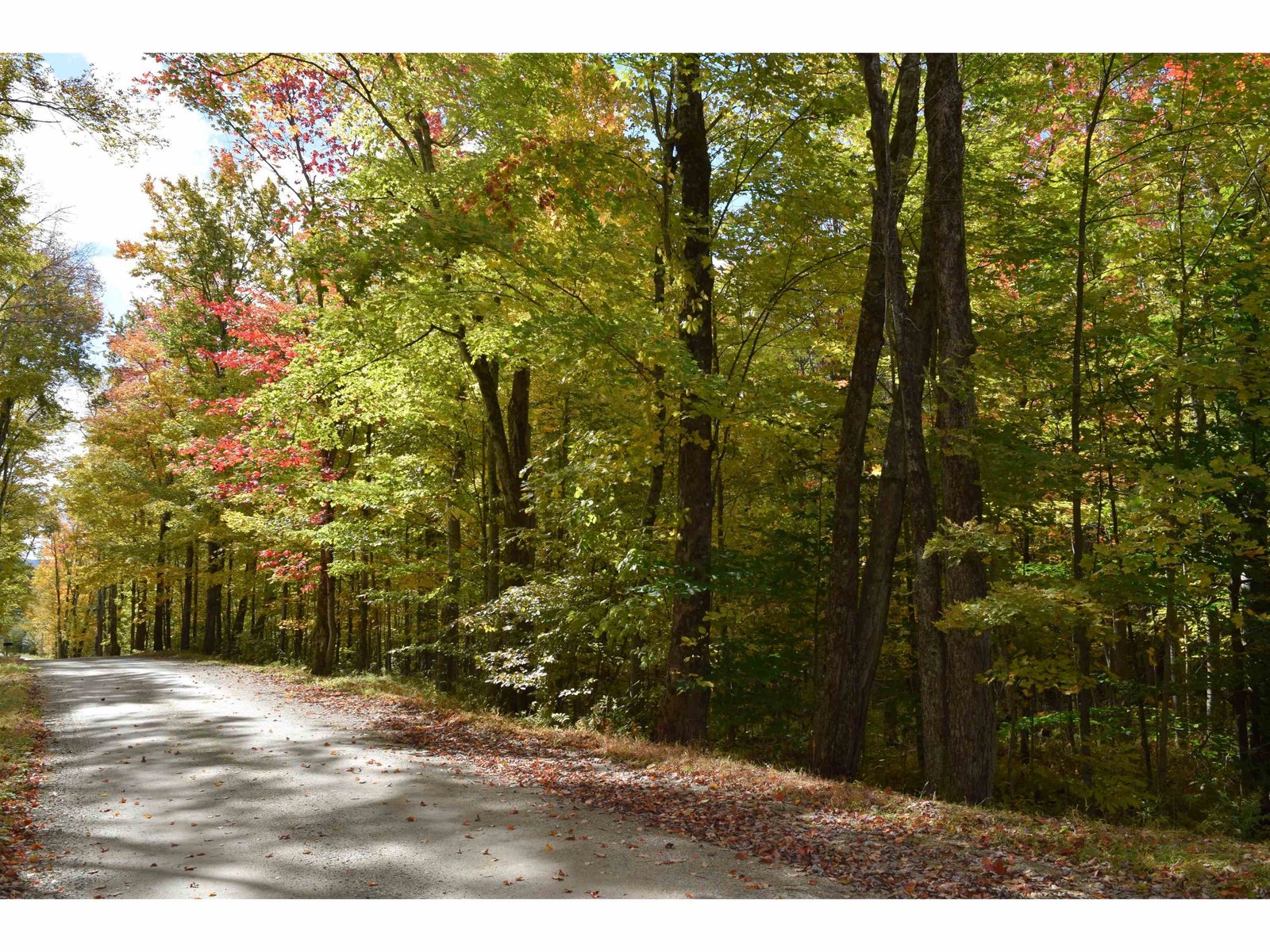 TBD Murray Road
