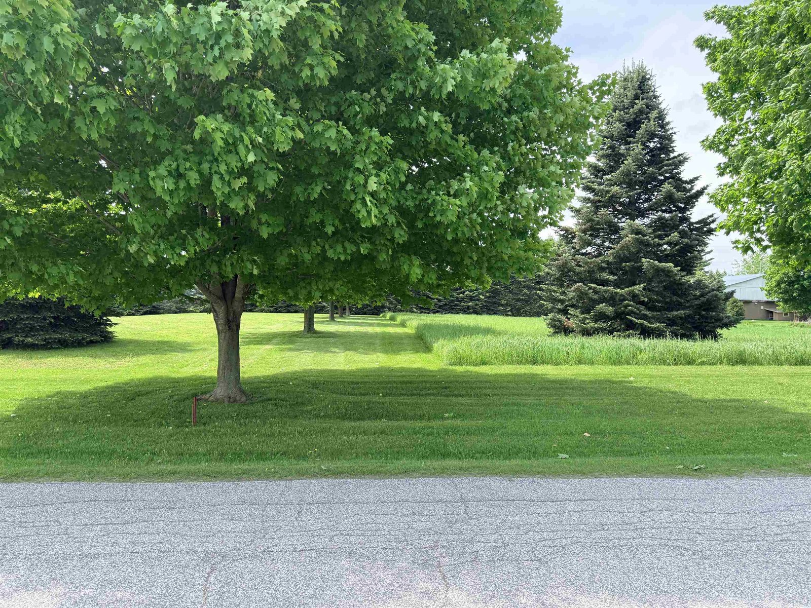 TBD New Road