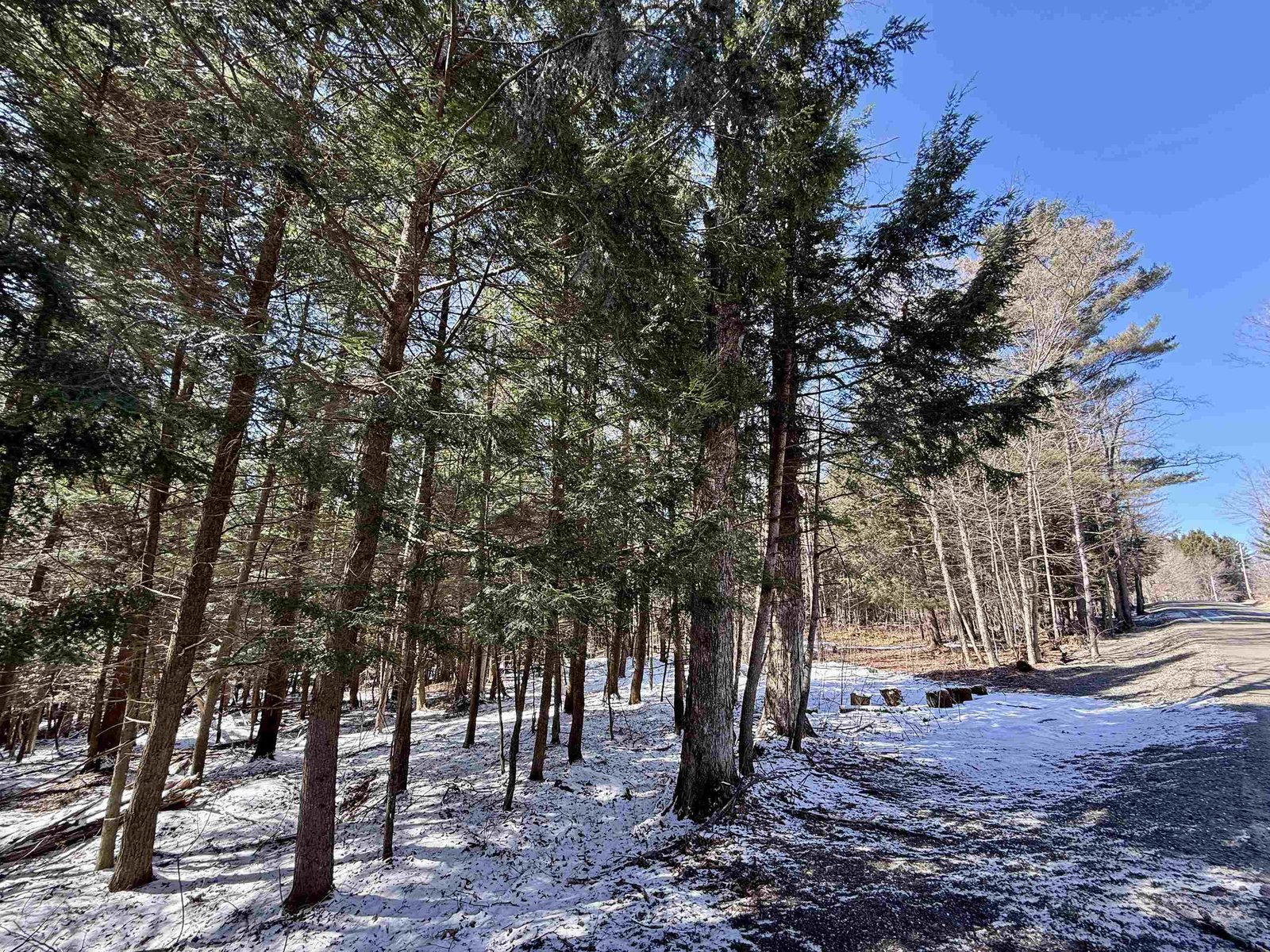 TBD Plot Road