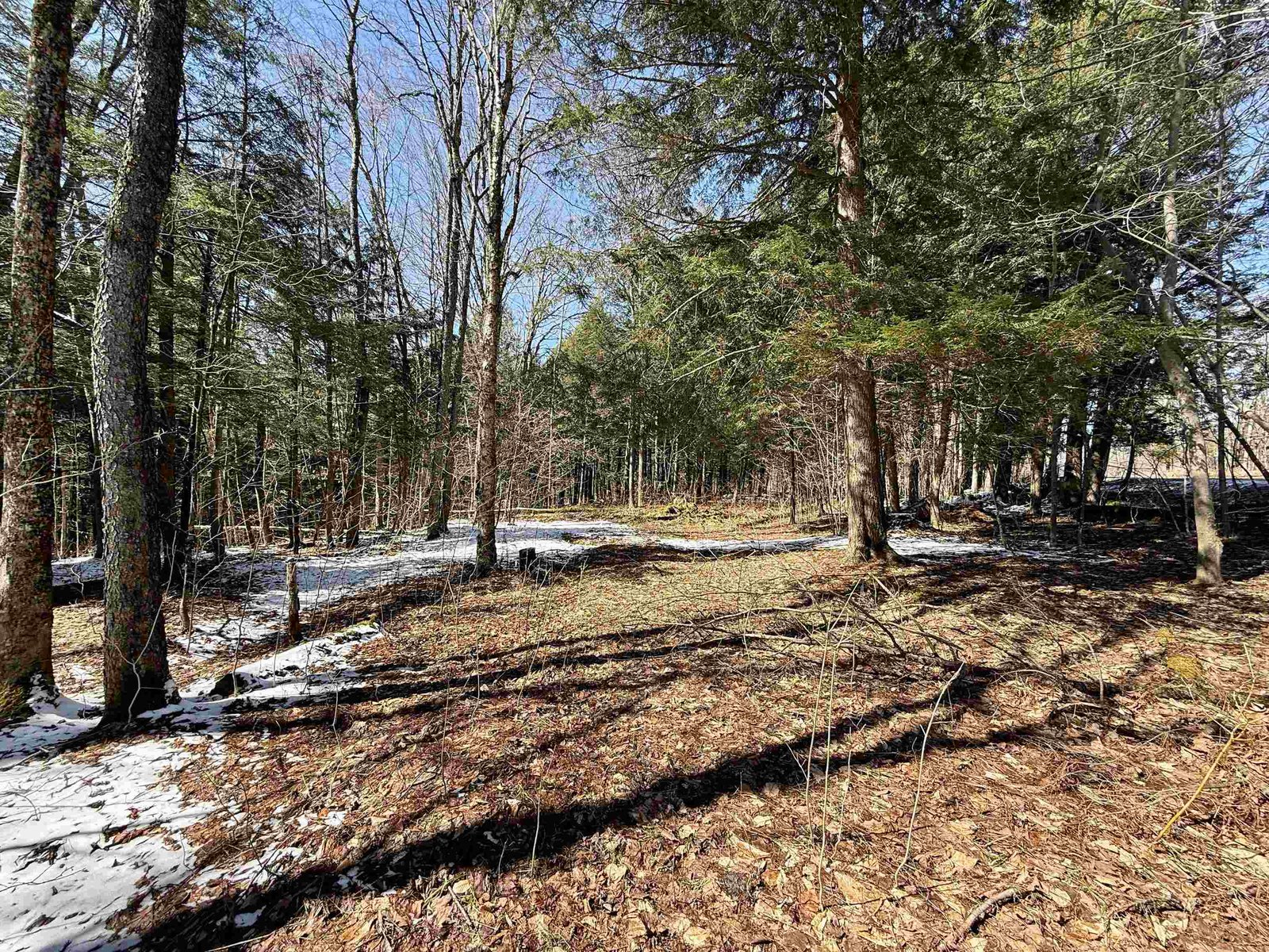 TBD Plot Road