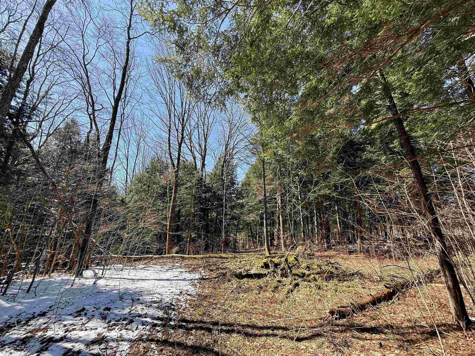 TBD Plot Road