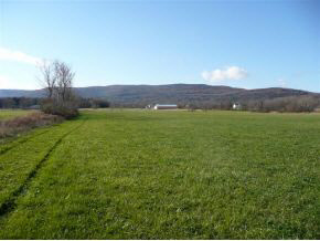 tbd Quaker Village