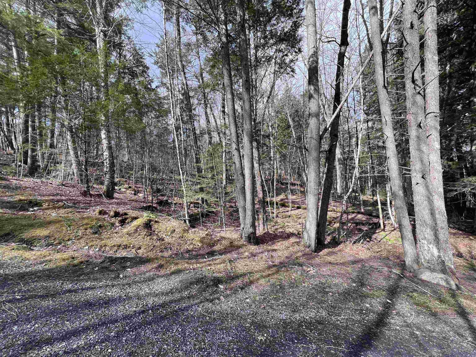 TBD Rathburn Road