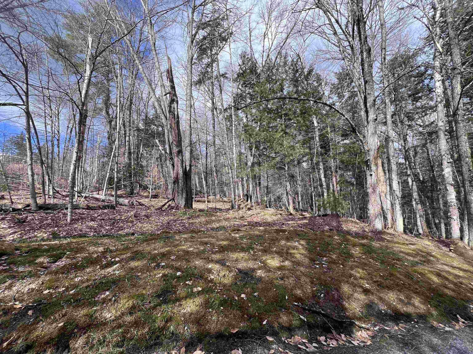TBD Rathburn Road