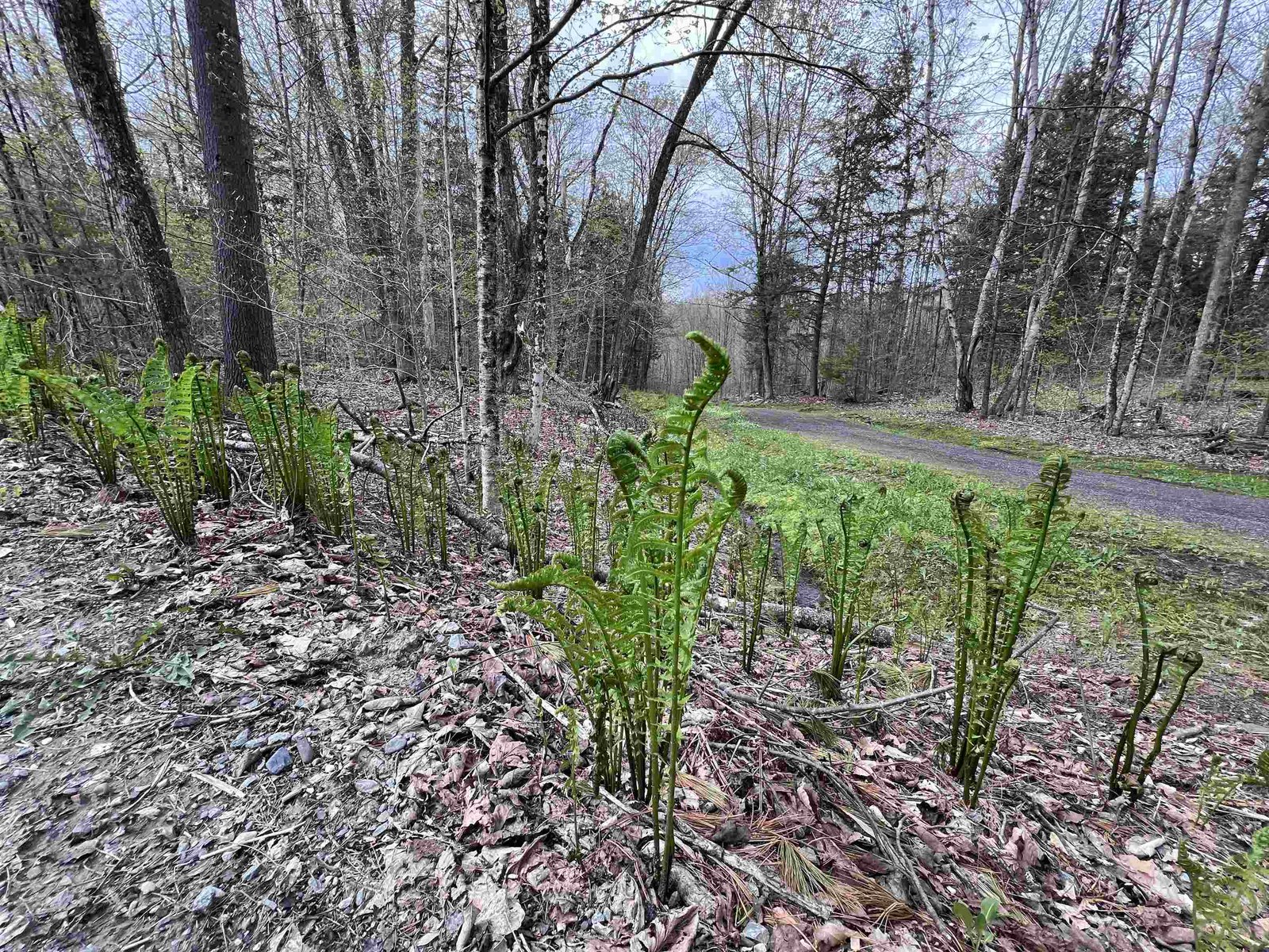 TBD Rathburn Road