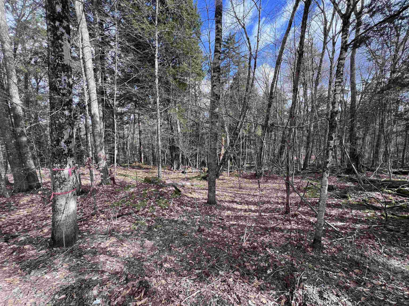 TBD Rathburn Road