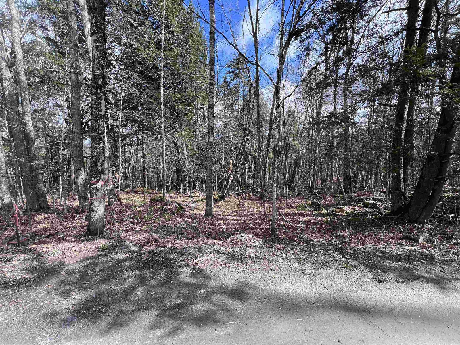 TBD Rathburn Road