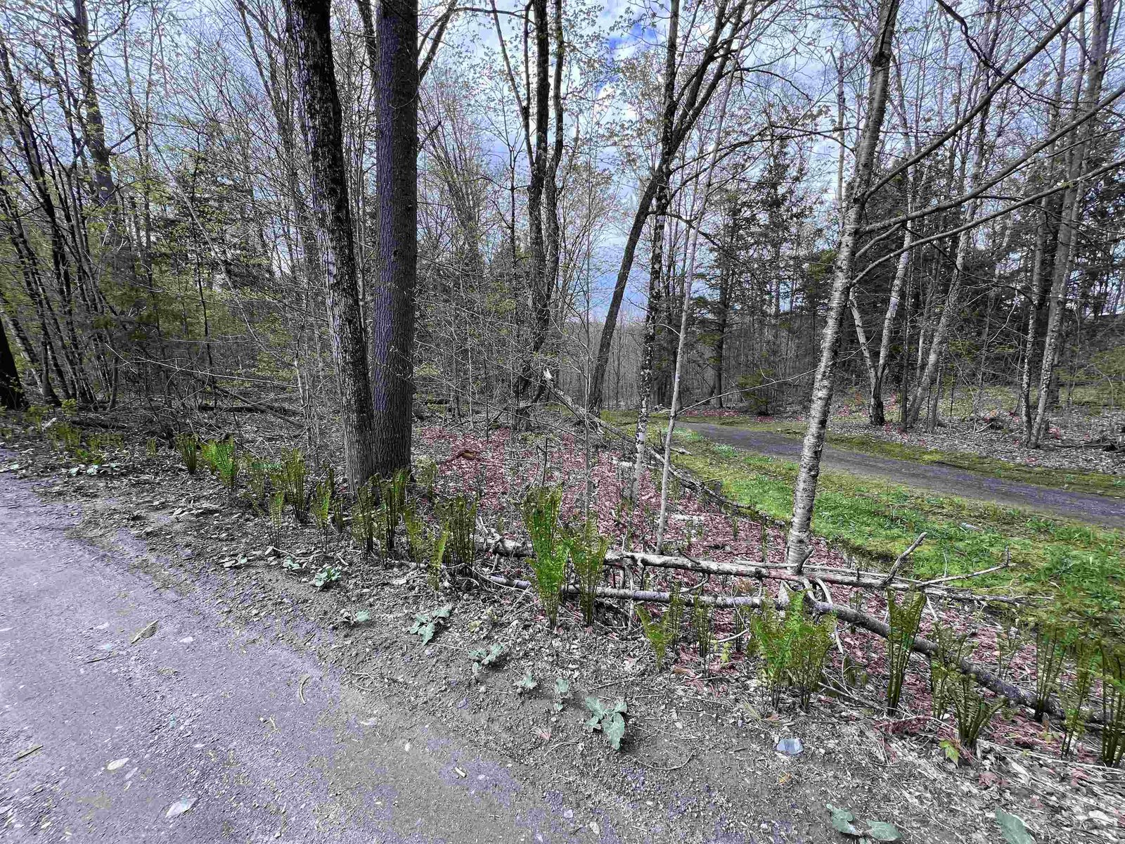 TBD Rathburn Road