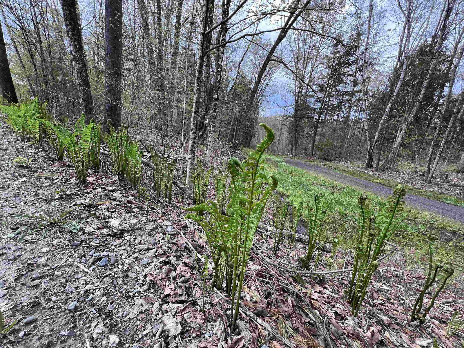 TBD Rathburn Road
