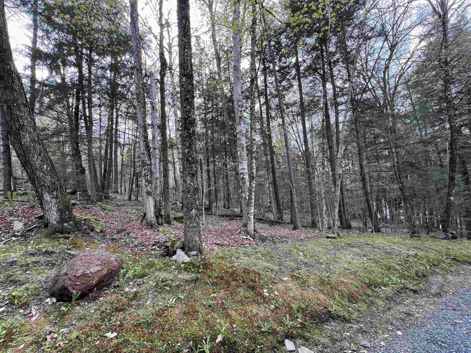 TBD Rathburn Road