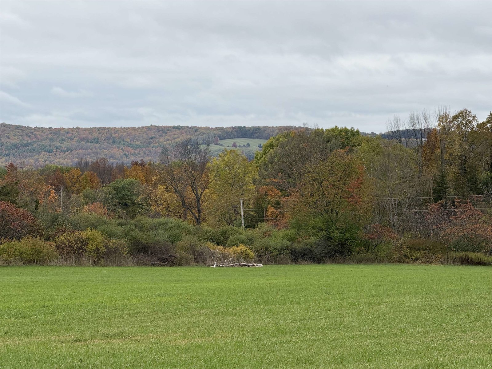 TBD Route 74