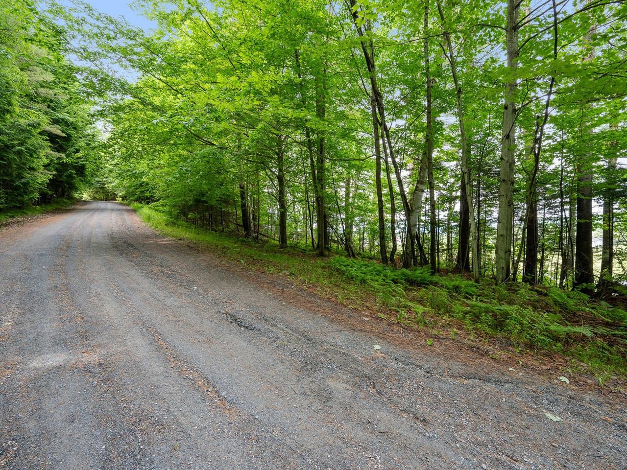 TBD Sholan Road