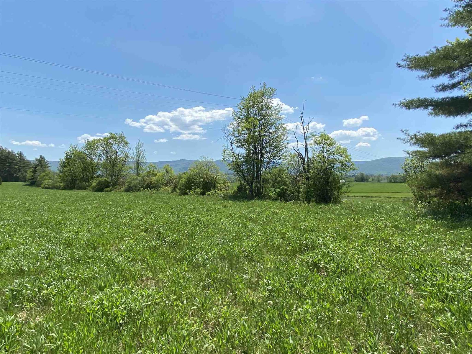 TBD Small Pond Road