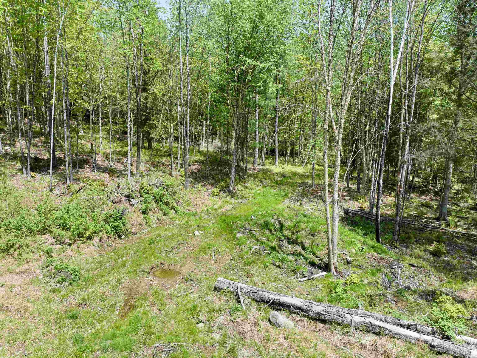 Possible Building Site