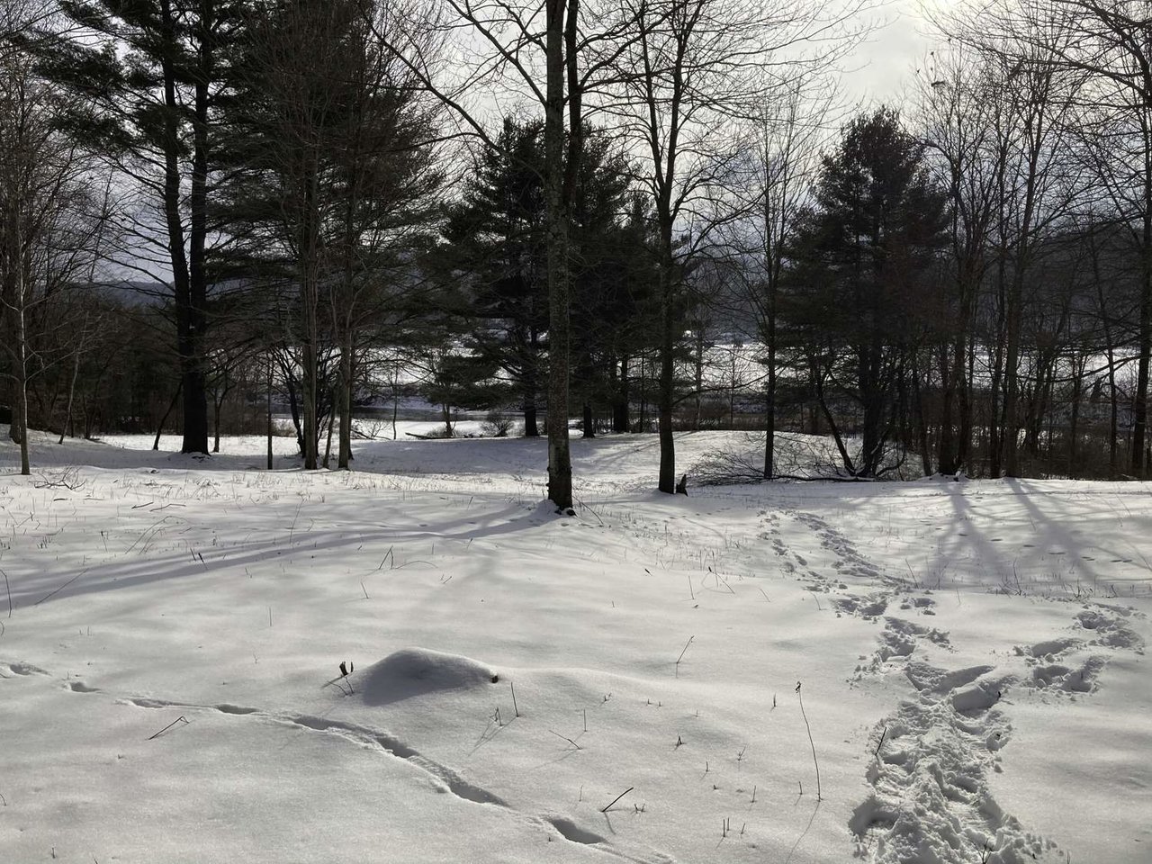 TBD VT Route 15 East