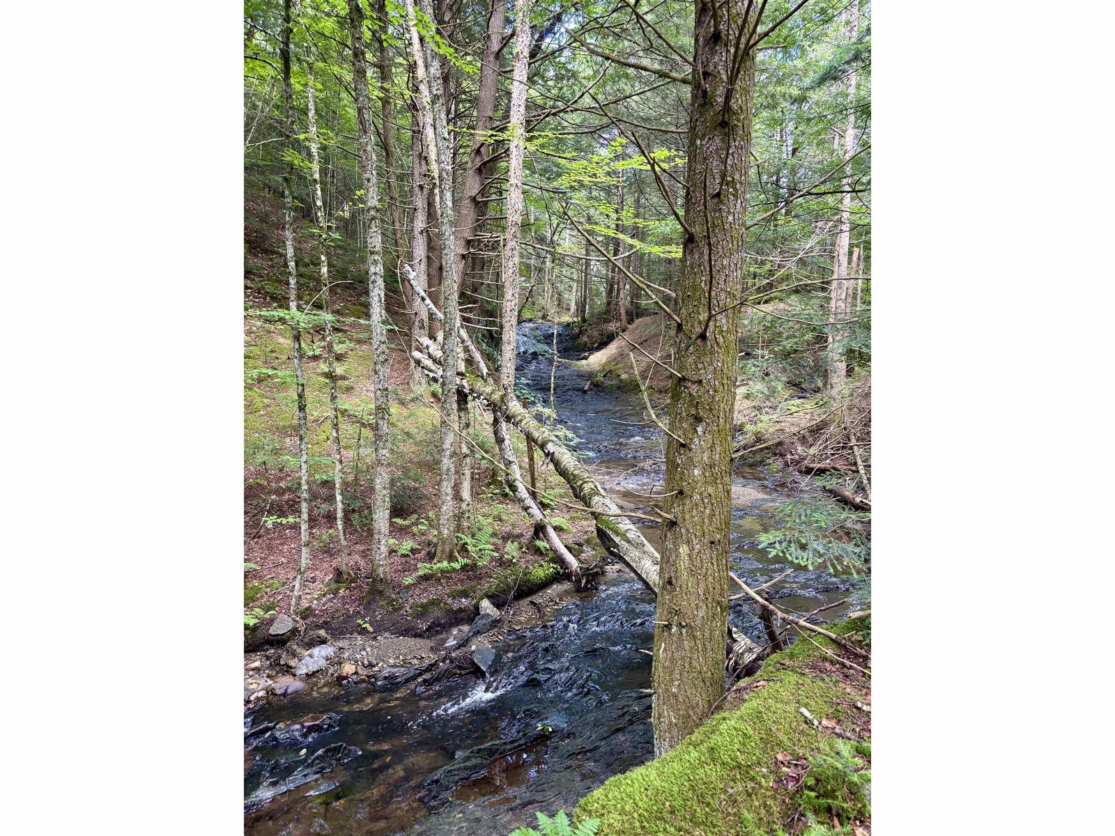 Welder Brook