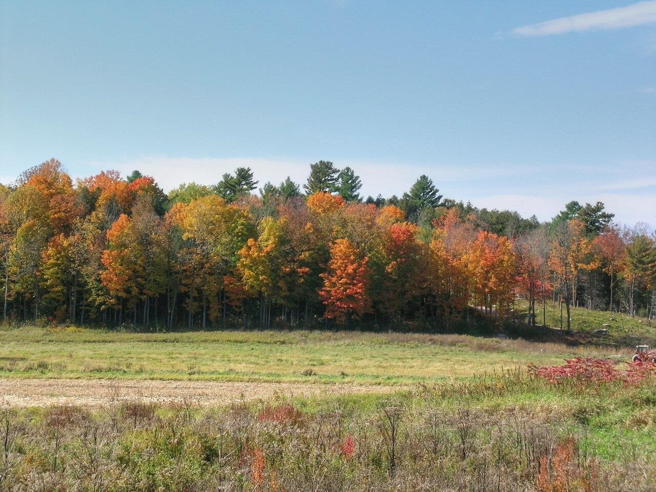 Lot 4 Finney Ridge, Shelburne