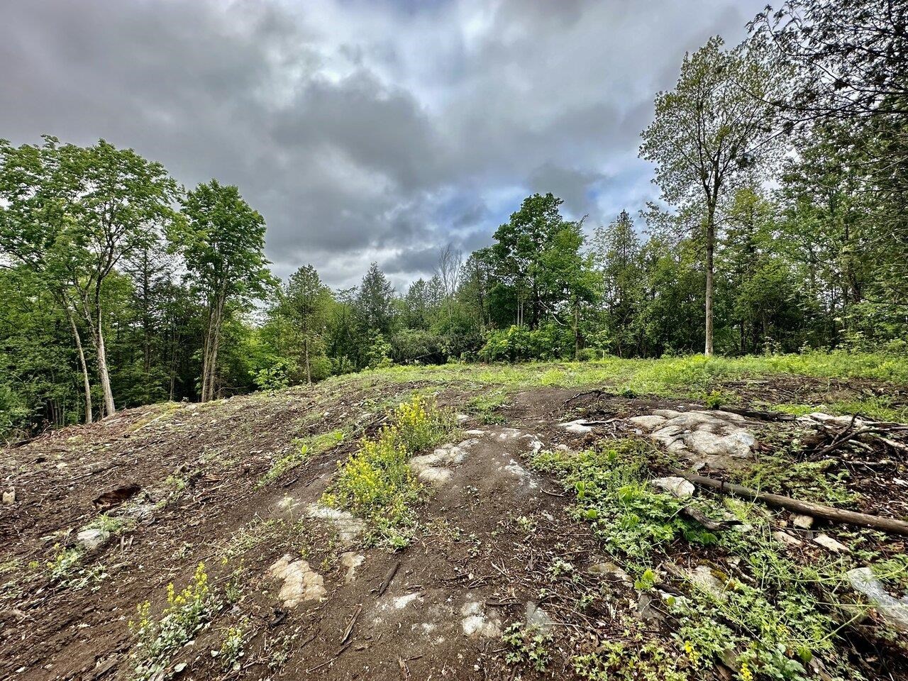 A3 Birdie Drive, Hinesburg