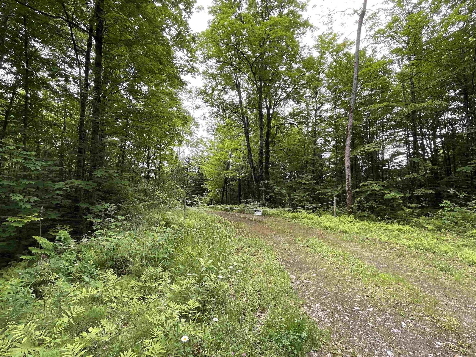 220 Buck Hill Road, Westfield