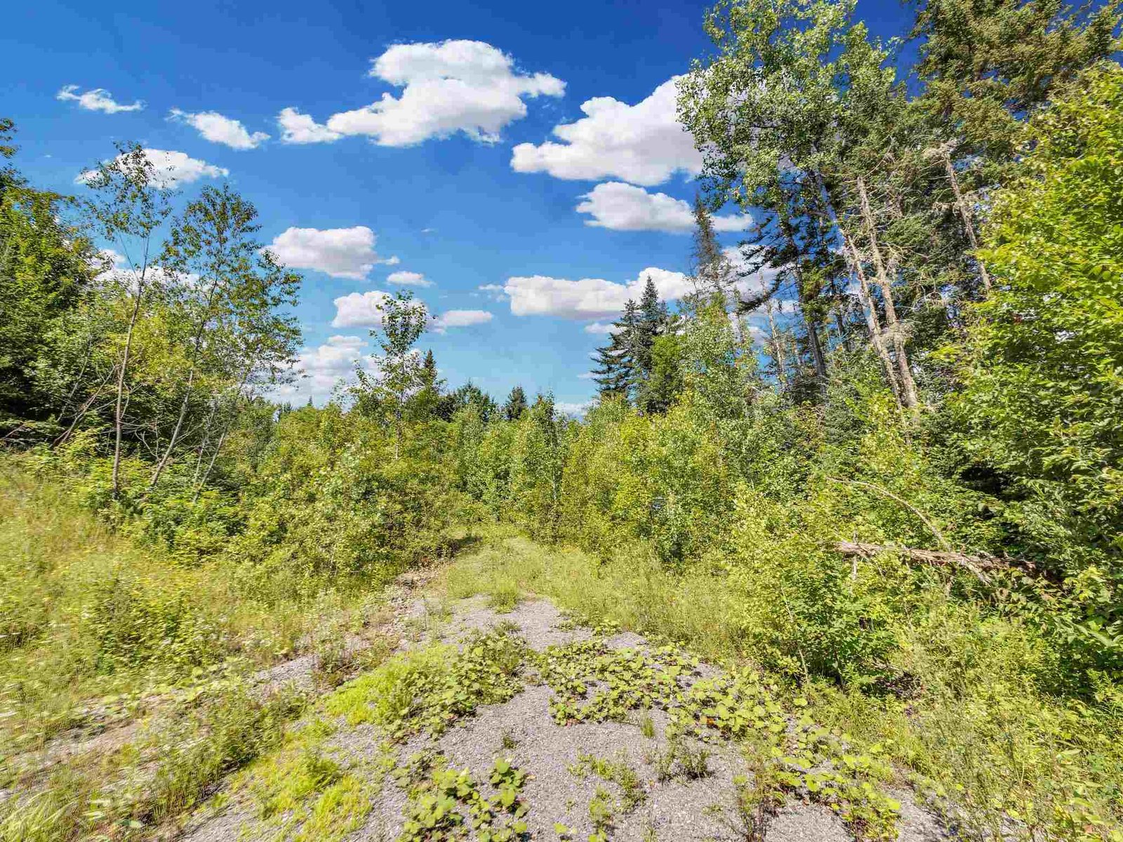 0 Cooper Hill/Blakeville Road, Eden