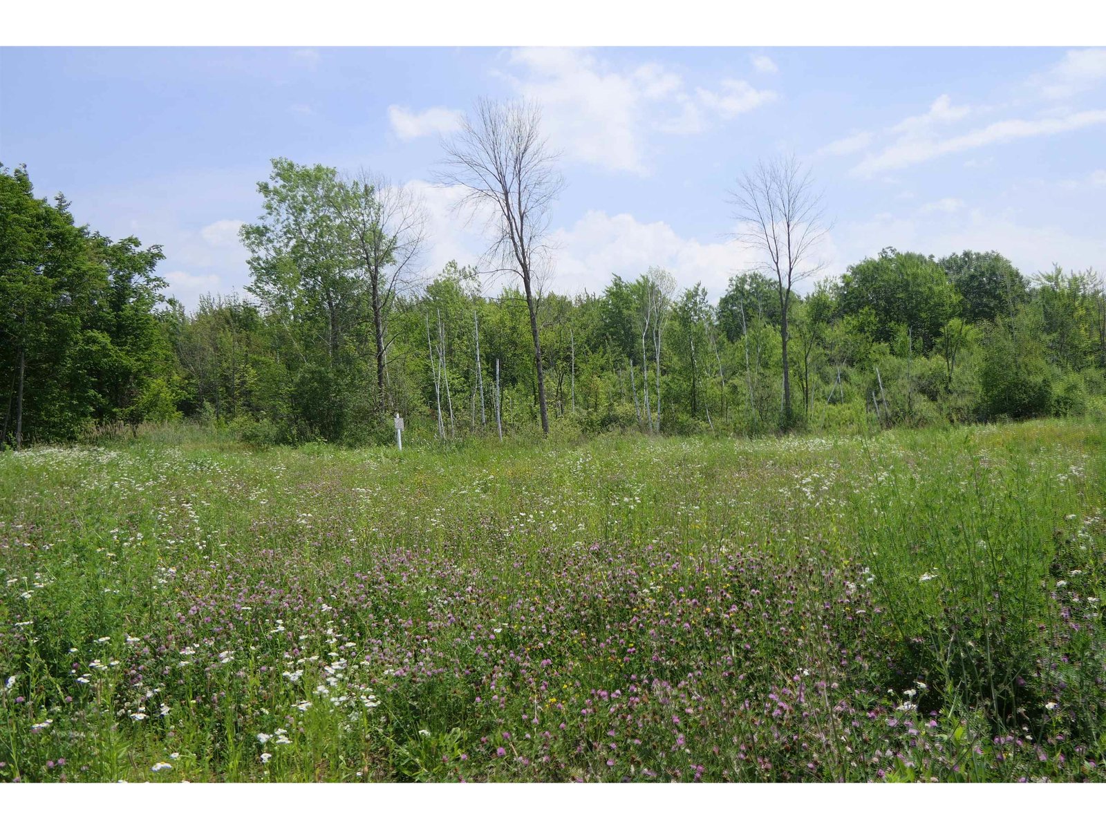 96 Ellsworth Drive, Swanton