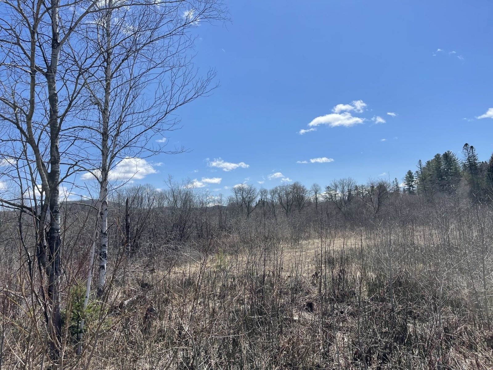 00 Gilman Road, Lyndon