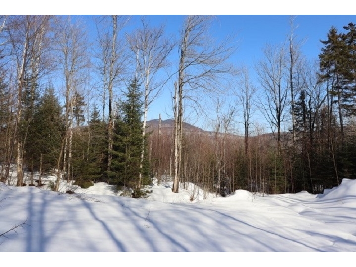  VT Route 109, Belvidere