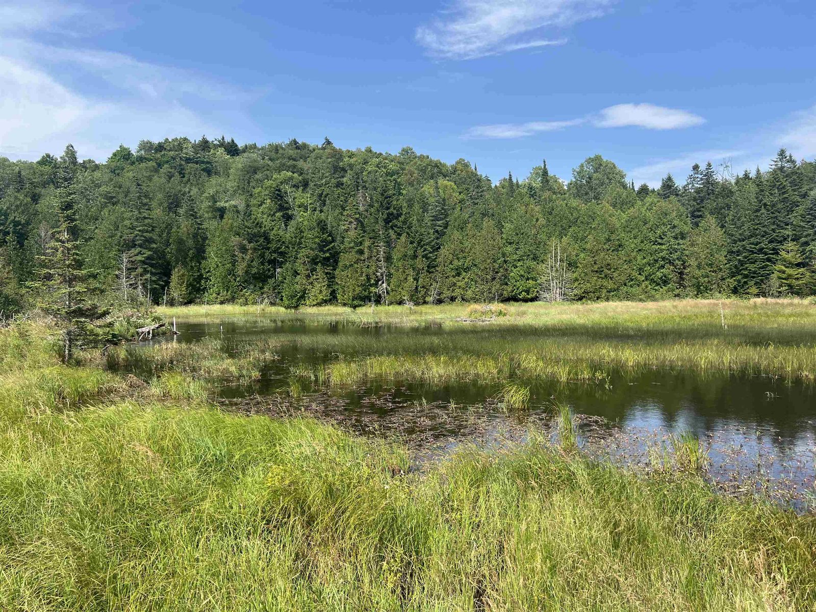 0 Hartwell Pond Road, Albany