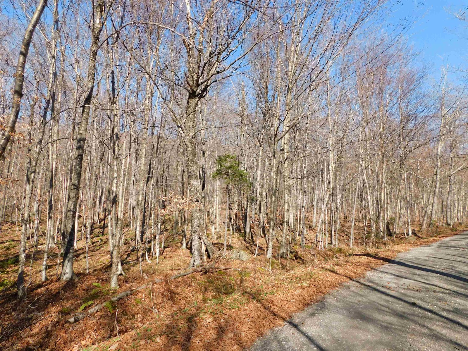 00 Highland Drive, Montgomery
