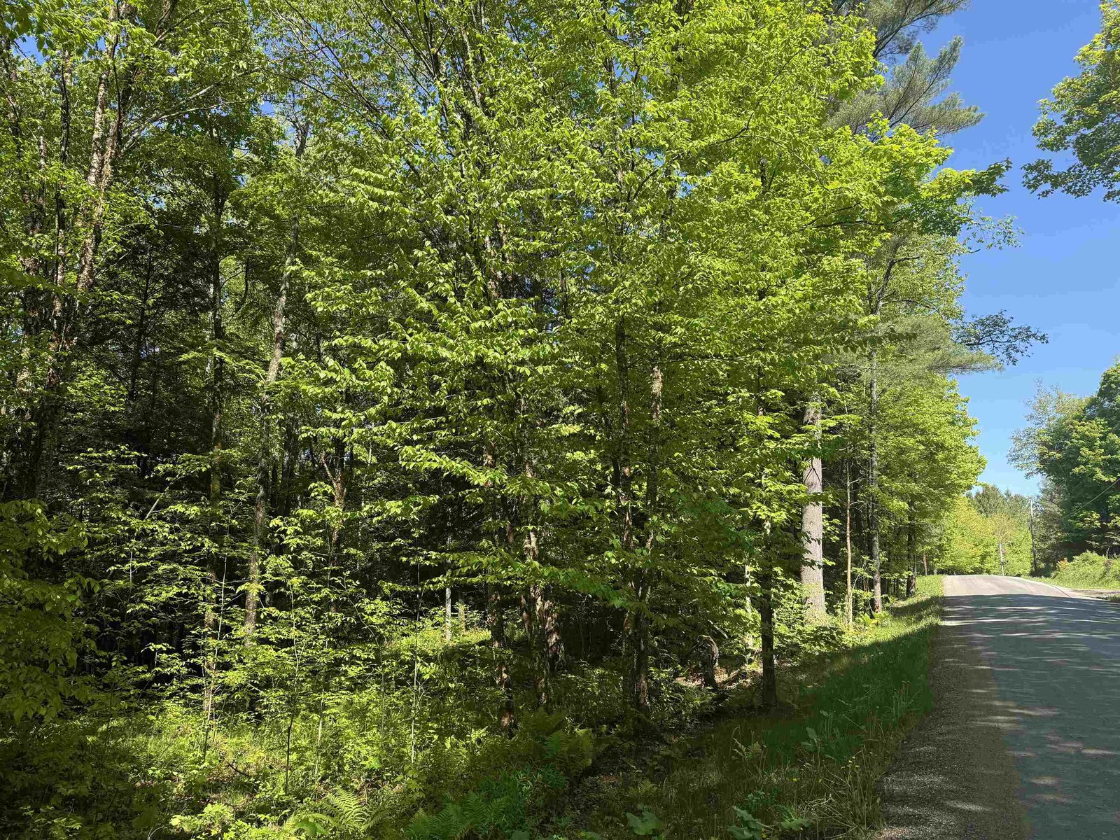 TBD Plot Road, Johnson