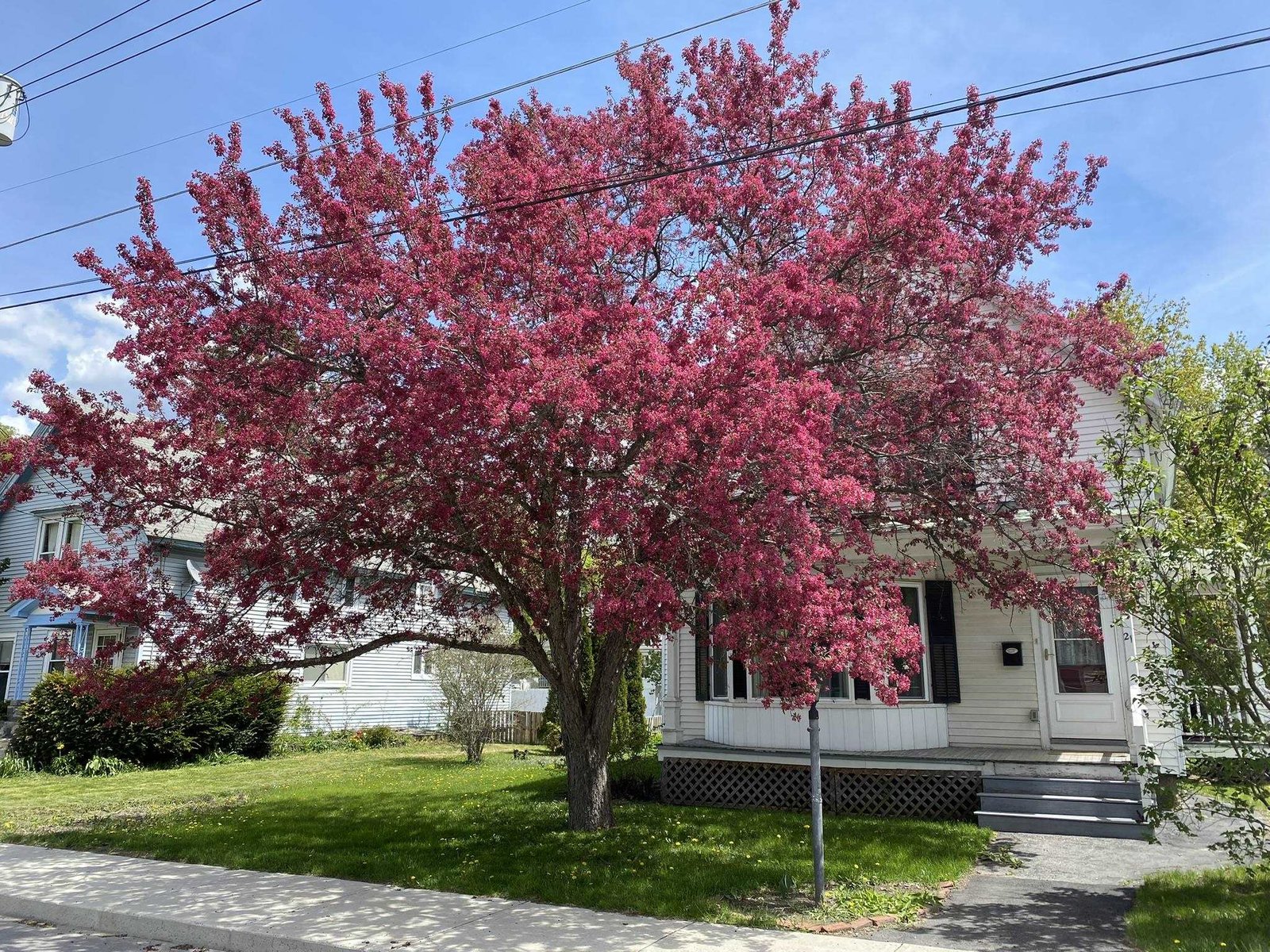 21 Park Street, Barre City