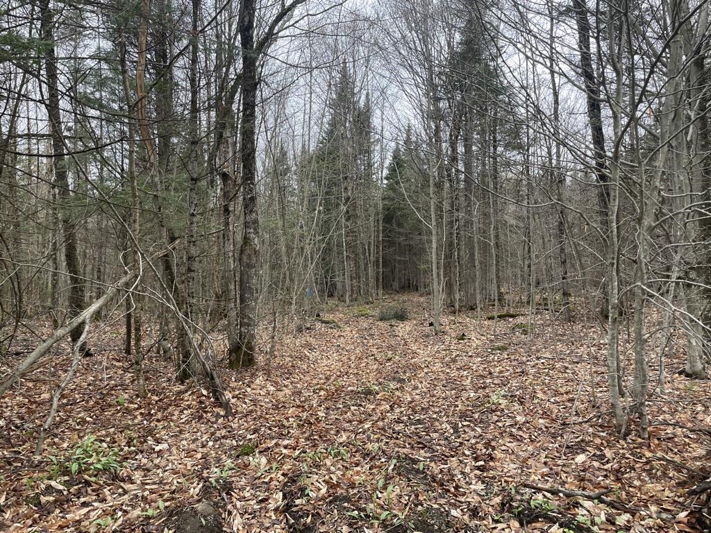 2319 East Hill Road, Woodbury