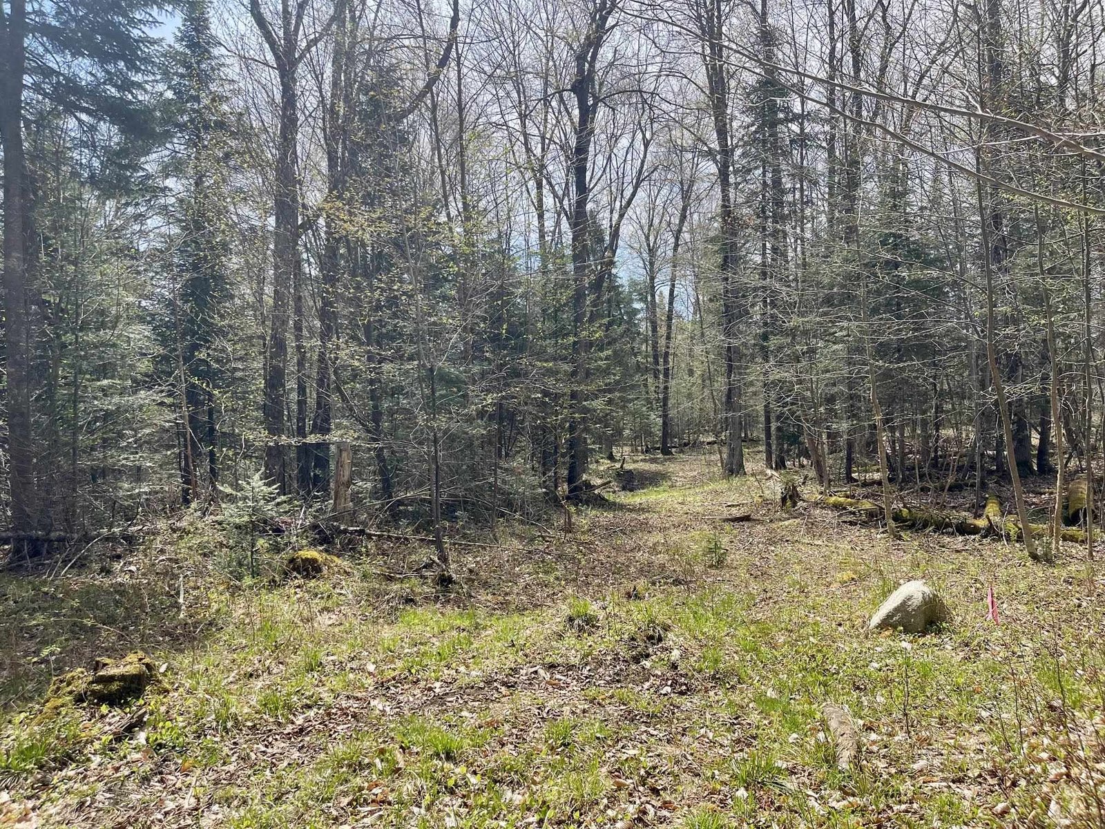 00 Peene Hill Road, Westmore