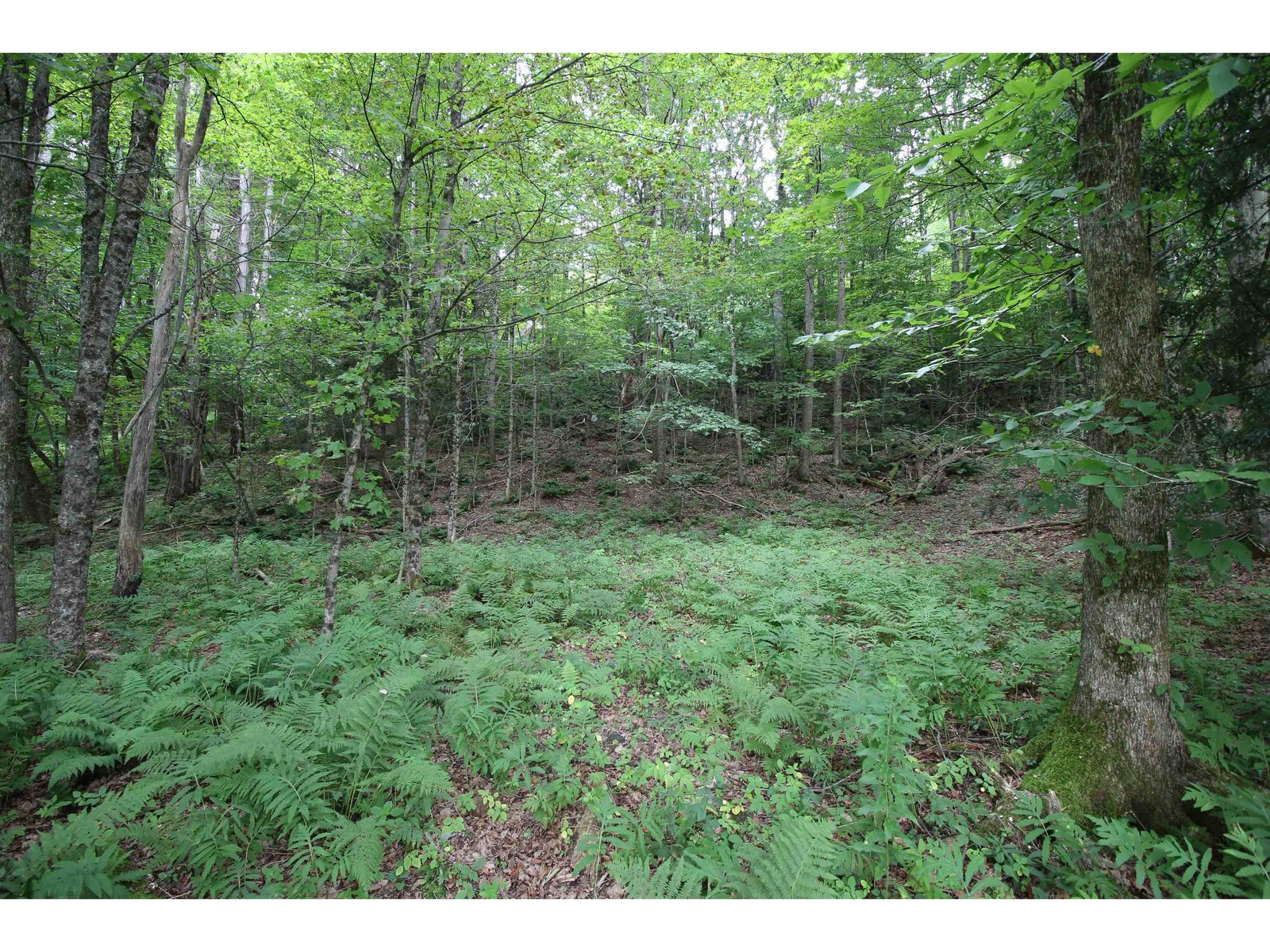 360 Liberty Hill Road, Pittsfield