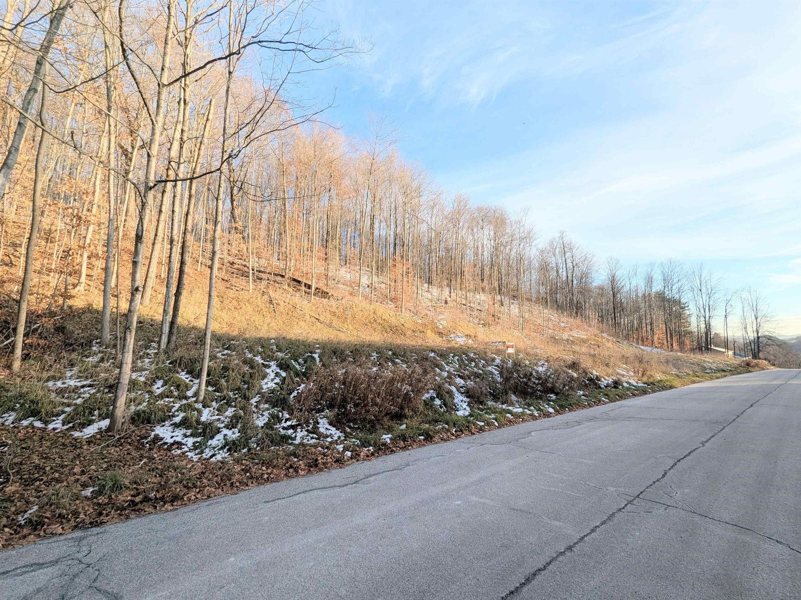 Lot #10 & 11 Maplewood Avenue, Barre City
