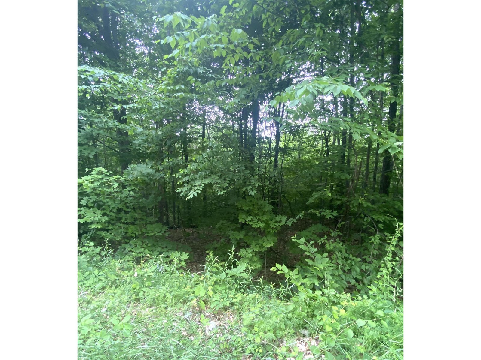 6 Fred Johnson Circle, Middlebury