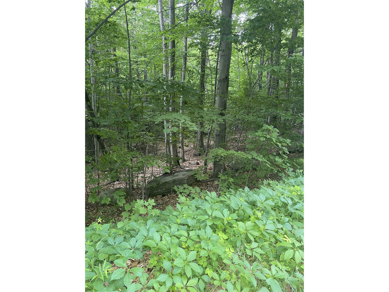 8 Fred Johnson Circle, Middlebury