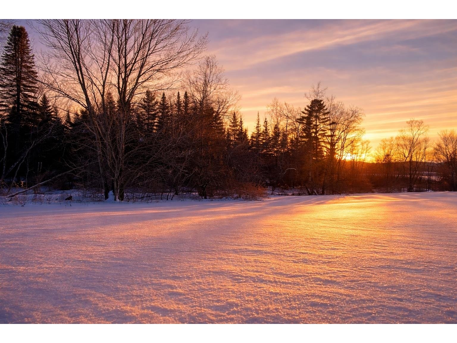 972-A Fitzgerald Road, Morristown