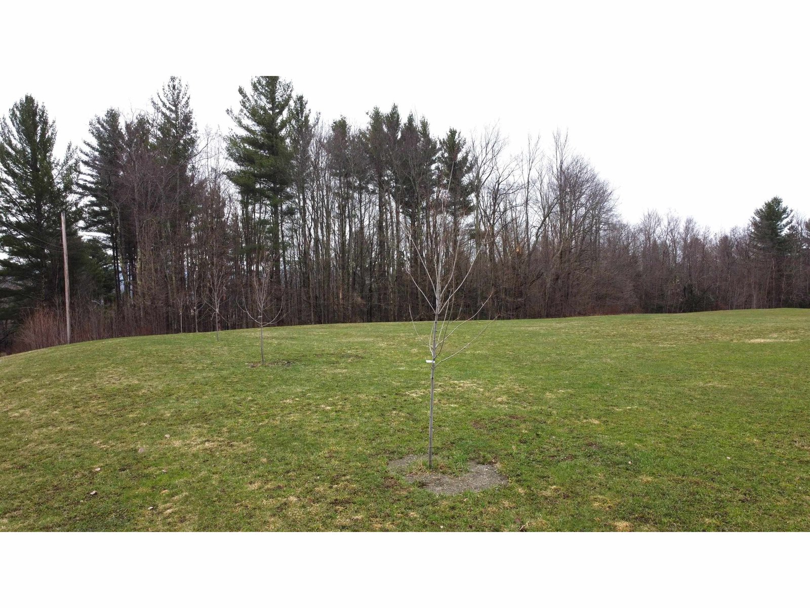 315 North Hill Road, Westfield