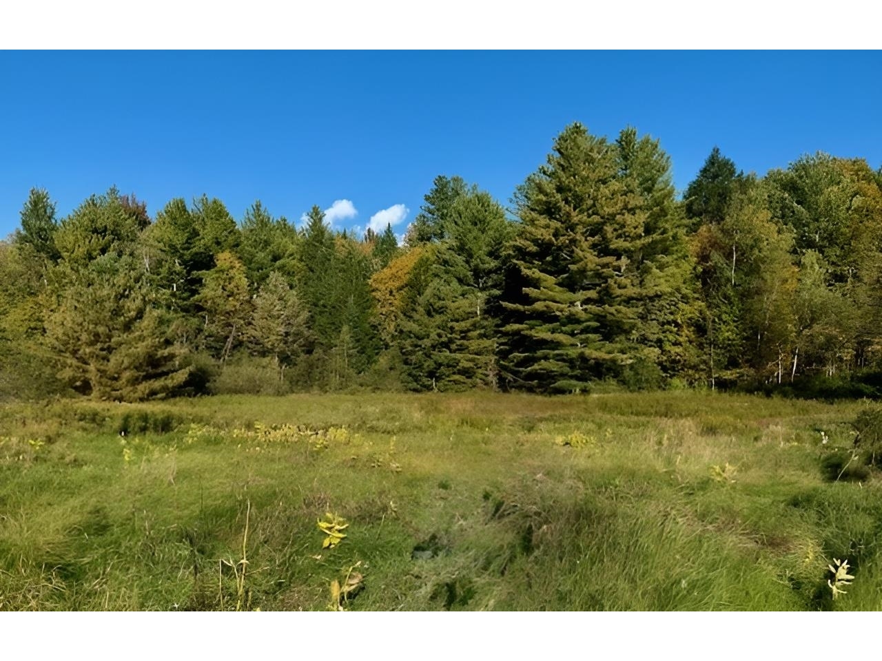 843 River Road, Troy