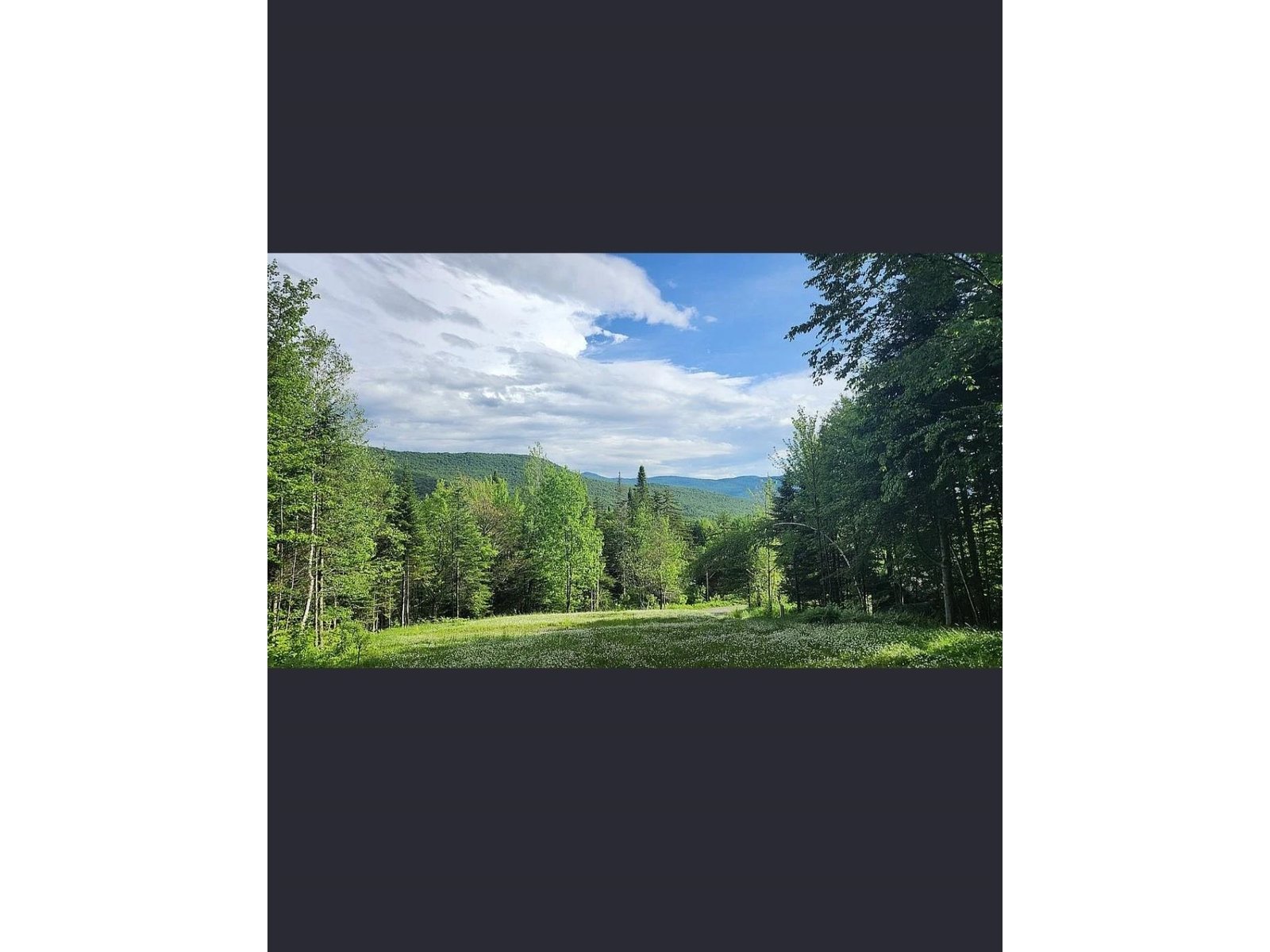 125 Evergreen Lane, Montgomery