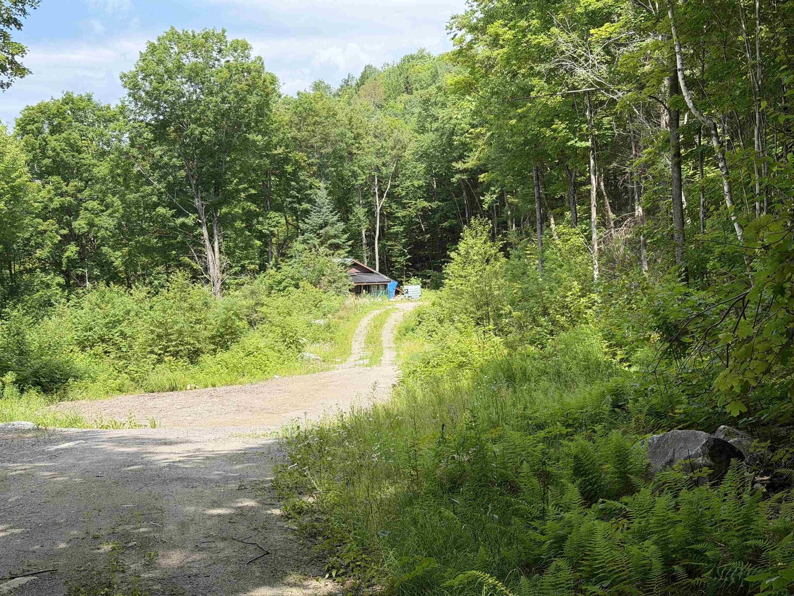 493 Wheeler Mountain Road, Barton
