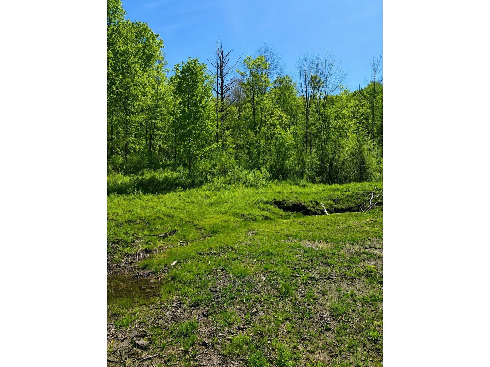 0 Blake Hill Road, Woodbury